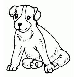 Cachorro #1934