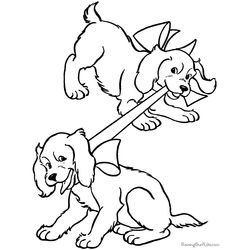 Cachorro #1936