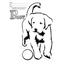 Cachorro #1937