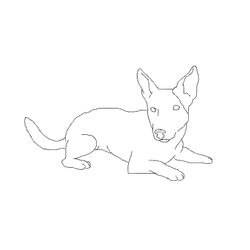 Cachorro #1938