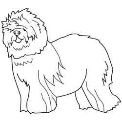 Cachorro #1940
