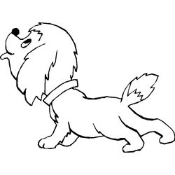 Cachorro #1941
