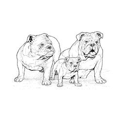Cachorro #1943