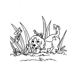 Cachorro #1960