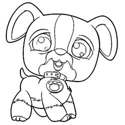 Cachorro #1961