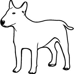 Cachorro #1971