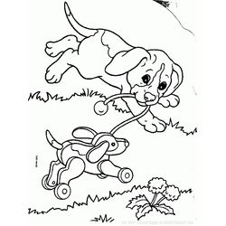 Cachorro #1984