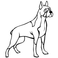 Cachorro #1987