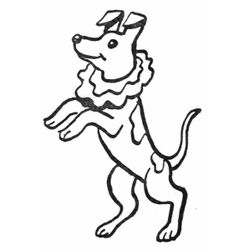 Cachorro #1995
