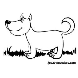 Cachorro #1999