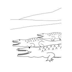 Caimán #2050