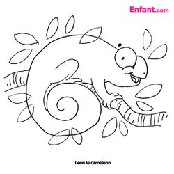 Camaleón #2064