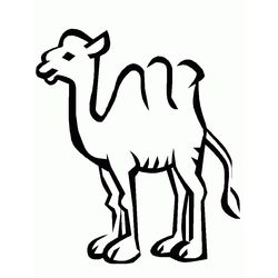 Camello #2086