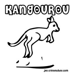 Canguro #2237