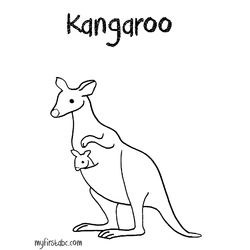 Canguro #2264