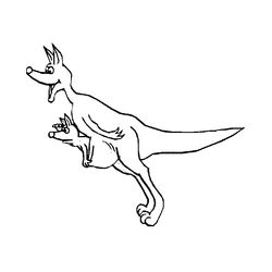 Canguro #2274