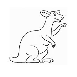 Canguro #2294