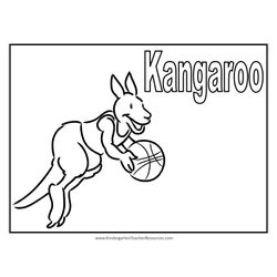 Canguro #2295