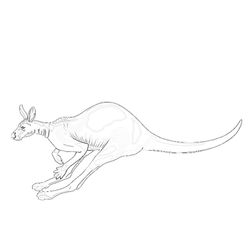Canguro #2297
