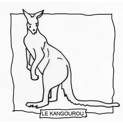 Canguro #2312