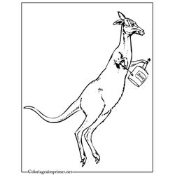 Canguro #2329