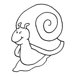 Caracol #2334
