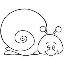Caracol #2337