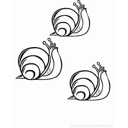 Caracol #2338