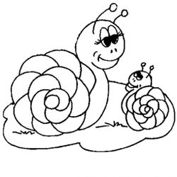 Caracol #2341