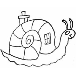 Caracol #2342