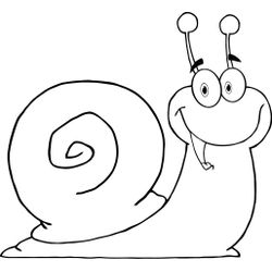 Caracol #2343