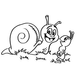 Caracol #2350