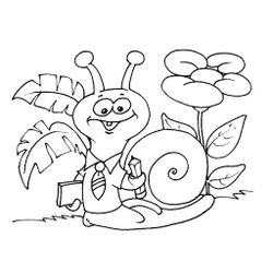 Caracol #2355