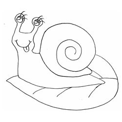 Caracol #2356