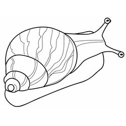 Caracol #2357