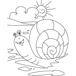 Caracol #2360