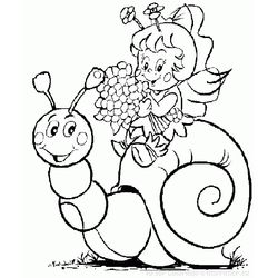 Caracol #2362