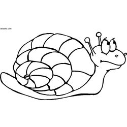 Caracol #2365