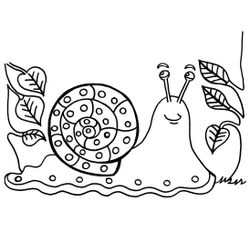 Caracol #2366