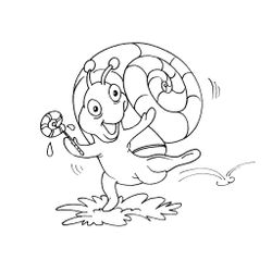 Caracol #2367