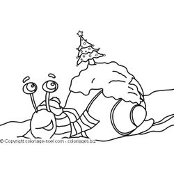 Caracol #2368