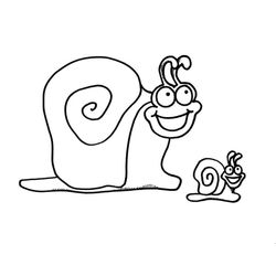 Caracol #2376