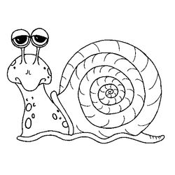 Caracol #2384