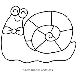 Caracol #2386