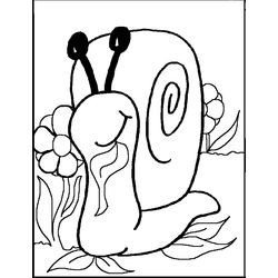 Caracol #2388