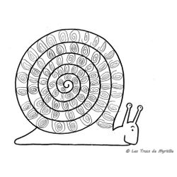 Caracol #2389