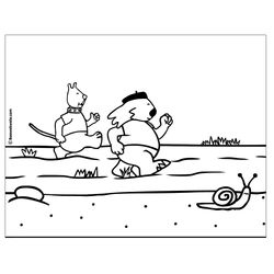 Caracol #2390