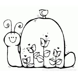 Caracol #2392