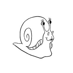 Caracol #2394