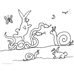 Caracol #2395
